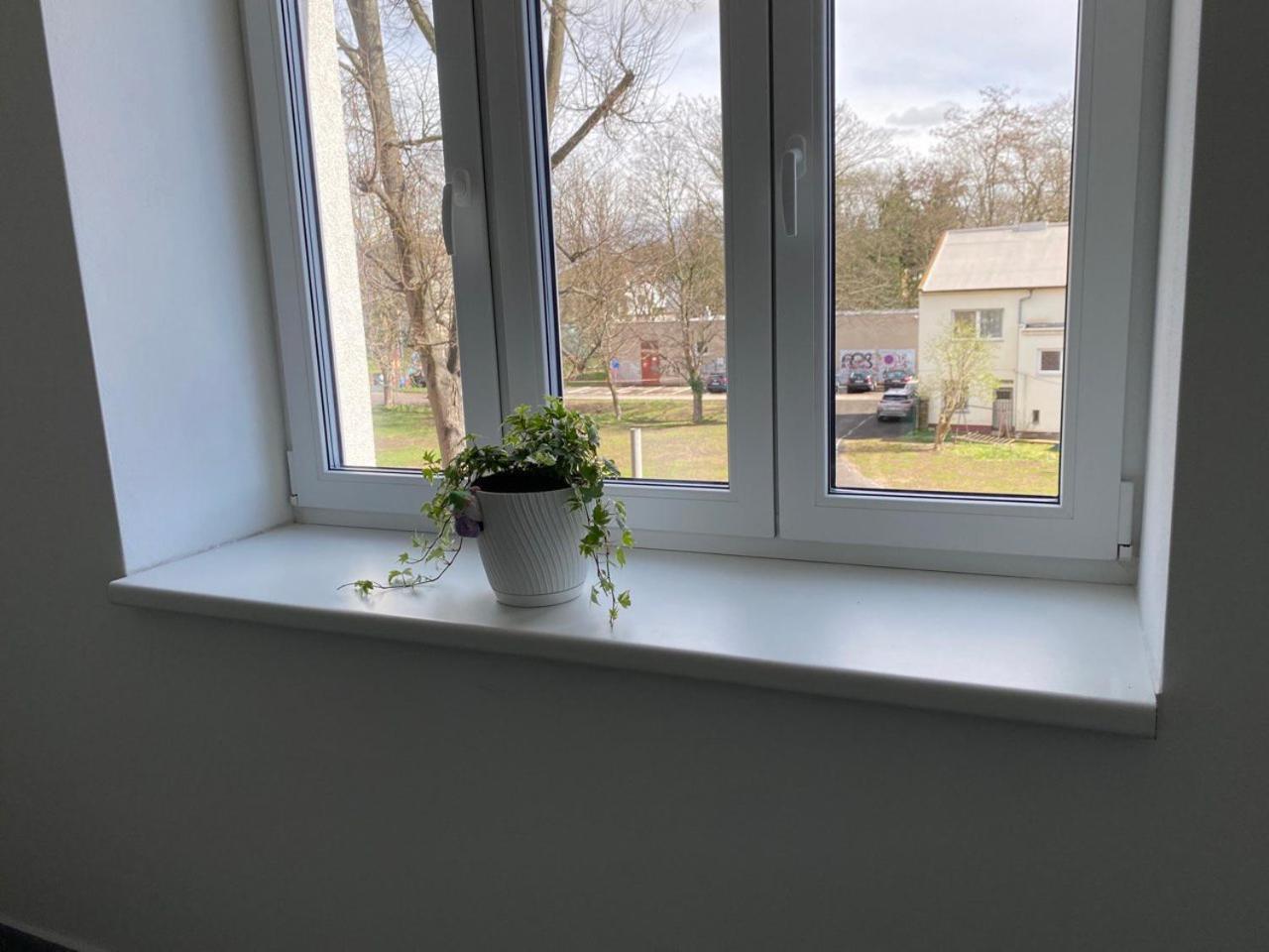Perla Hradce Lägenhet Hradec Králové Exteriör bild